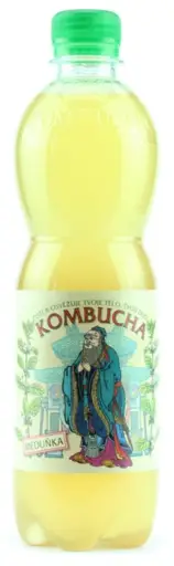 Kombucha - medovka 500ml Stevikom