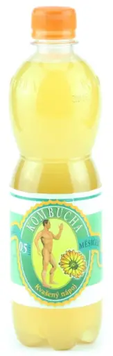 Kombucha - nechtík 500ml Stevikom